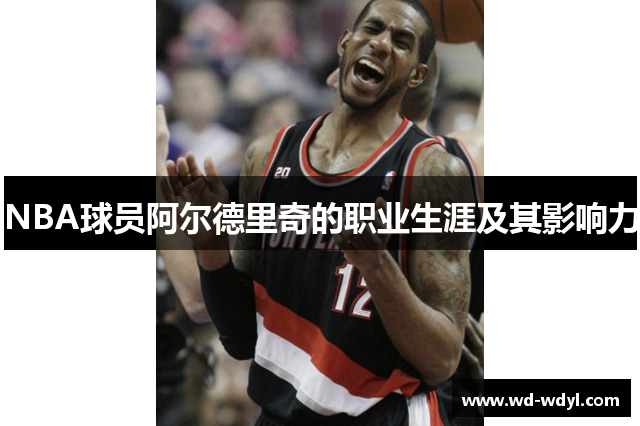 NBA球员阿尔德里奇的职业生涯及其影响力