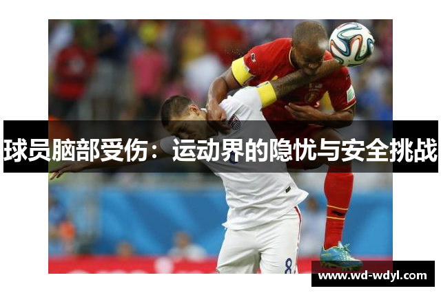 球员脑部受伤：运动界的隐忧与安全挑战
