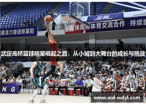 武定高桥篮球明星崛起之路：从小城到大舞台的成长与挑战